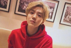 爆料鹿晗为什么喝酒视频,揭秘背后的原因与心路历程